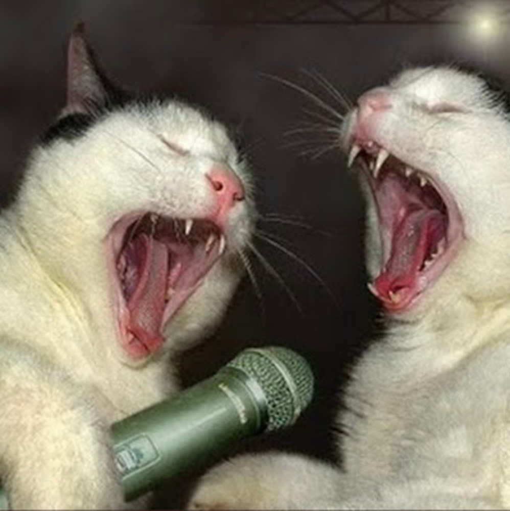 Meet your Posher, Mossisgoodforyou